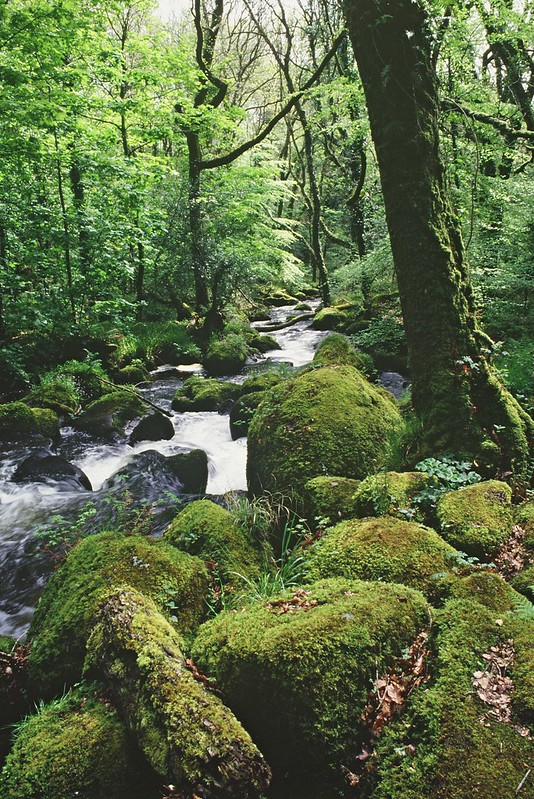 The science of Natural England: now and then – Natural England