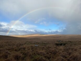 A view across Dartmoor over the peatland near Burrator reservoir (Photograph by Justine Read of South West Peatland Partnership)