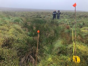 Measuring out a vegetation plot on the England Ecosystem Survey
