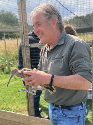 Tony Juniper holds a young curlew chick whilst visiting the curlew translation project at Pensthorpe Natural Park in Norfolk. 