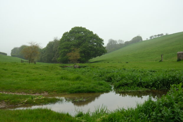 A view from the edge of pond looking across to the exiting stream that flows down a luscious valley with trees in the distance