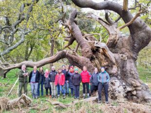 Natural England and Bradgate Park Trust staff gathered under an ancient oak Credit: James Dymond, Bradgate Park Trust