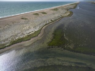 An aerial view of part of Chesil and the Fleet SSSI, which is designated for its coastal lagoon seagrass beds and vegetated shingle saltmarsh