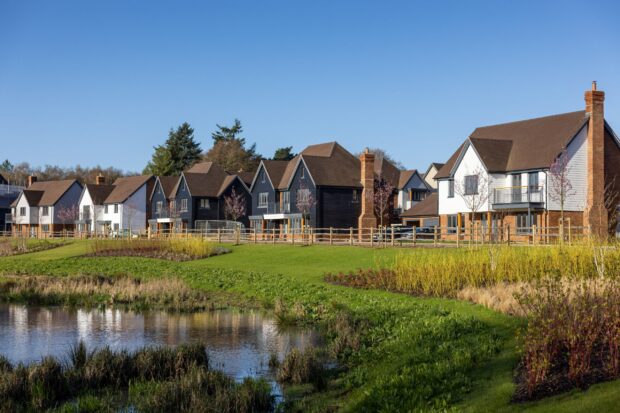 Image shows a few newly built houses at a development site in Thakeham. A pond is at the forefront of the image with green grassy land around it and lots of vegetation, allowing for nature to thrive. A beautiful clear blue sky hangs overhead.