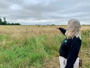 This farmland was once one of England’s largest lowland lakes until it was drained in