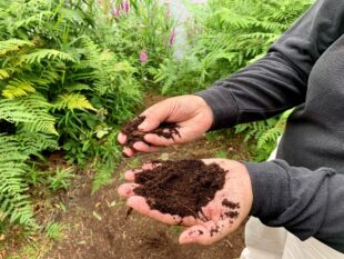 We should really be able to squeeze the water out of peat, but now it’s very dry