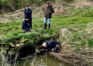 Advisers assessing part of the Galley Law site