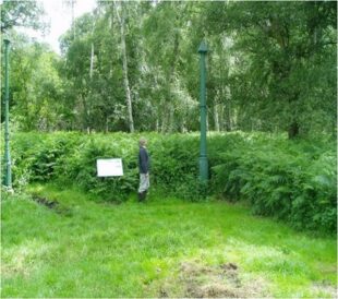 A photograph showing a person looking up at a post. They are in a grassy area, with bracken and trees in the background. The person is next to an information board. 