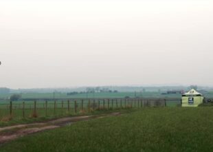 A view across Morden Carr