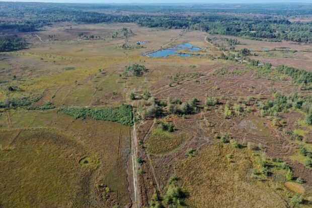 Image shows an aerial shot of the NNR site. heathland stretches out for miles, creating a mosaic of colour: browns, greens and blues, where water-logged patches exist. 