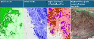 images of the four different types of map outputs from the England Peat Map project. From left to right: 1. An area of the extent map which shows different shades of green indicating the probability that peat is present. 2. An area of the depth map with different shades of blue to indicate how deep the peat is. 3. An area of the vegetation map showing different coloured shapes to indicate where different vegetation types are present, including bare ground. 4. An area of a map showing surface drainage and erosion features in the uplands, these are shown by red and green lines. They indicate the condition of the peatland habitat.