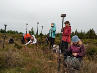 a photograph showing six surveyors on survey training in the North York Moors. They are looking at vegetation and measuring peat.