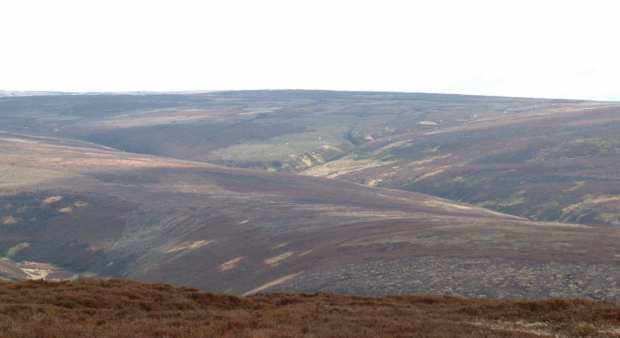 A view of moorland landscape, which is breeding habitat for hen harriers