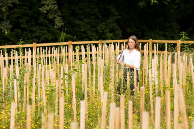 A project officer stands within the patch of newly planted trees