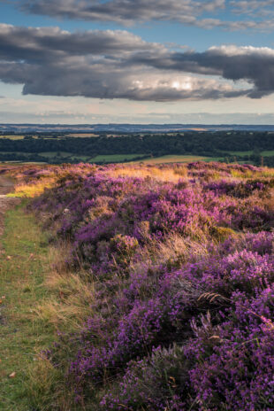 North York Moors National Park – Credit: Natural England Neil Pike