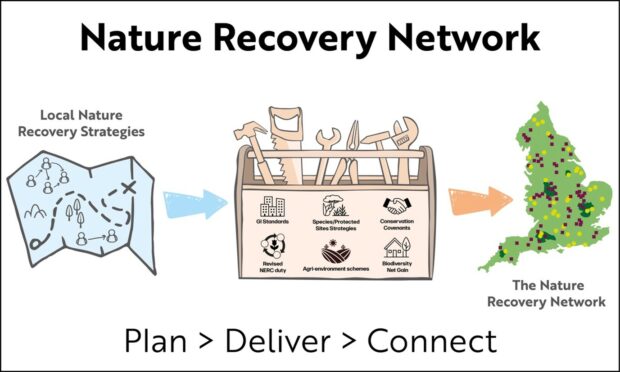 Image shows a diagram of how many of the tools, such as Local Nature Recovery Strategies, agri schemes. BNG and Gi Standards etc. play into the Nature Recovery Network. 