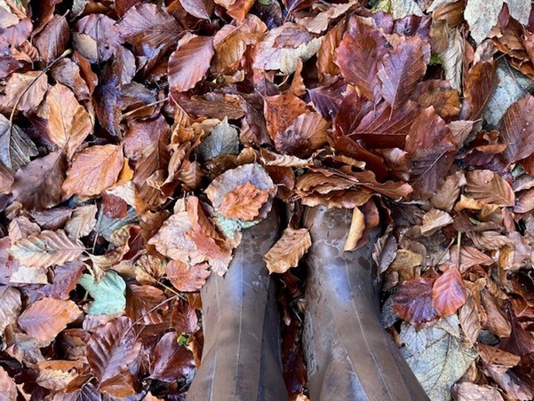 Image is looking down at two brown leather boots, which are stood on top of brown, crunchy autumnal leaves. 