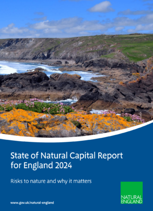 State of Natural Capital -report cover