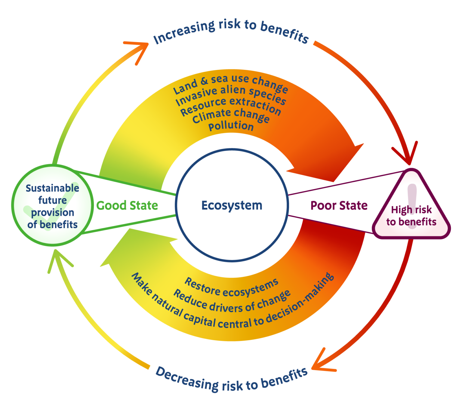 State of Natural Capital Report for England is now published – Natural