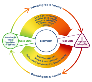State of Natural Capital -risk infographic