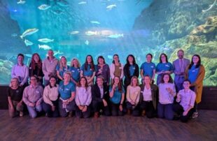 The Recreation ReMEDIES team. Credit Hannah Lister