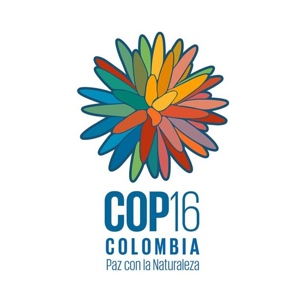 COP 16 reflections: Making the connection between global and local ...