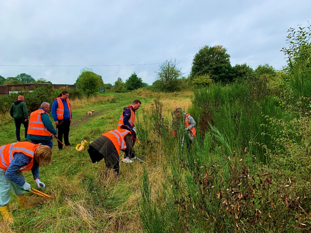 Corporate volunteers from HomeServe work with Walsall Council staff to clear scrub to expand an acid grassland habitat at Pelsall North Common.  