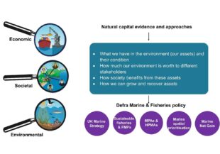 How natural capital evidence and approaches support Defra marine and fisheries policy. MPAs = Marine Protected Areas, HPMAs = Highly Protected Marine Areas, FMPs = Fisheries Management Plans.