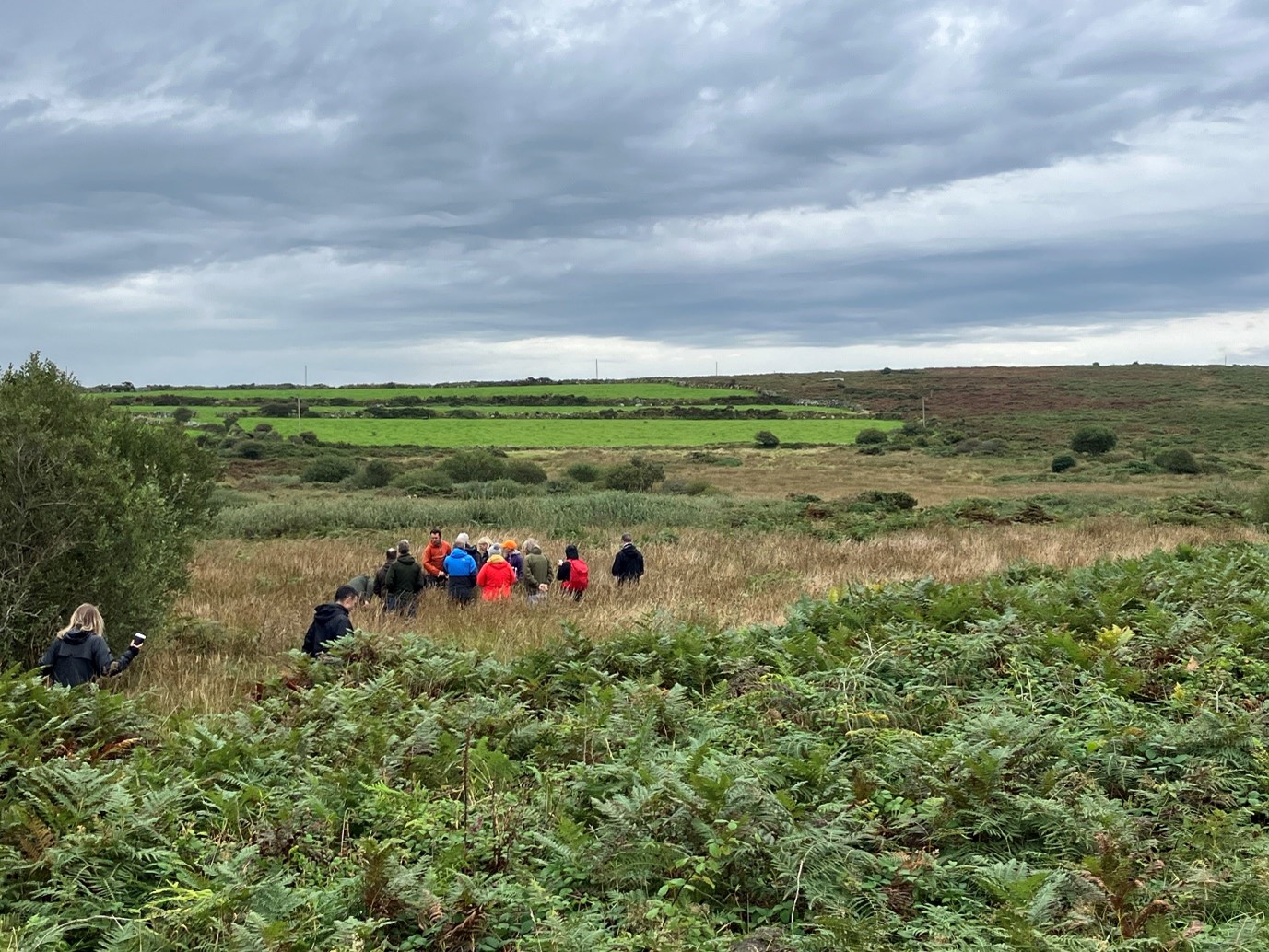 West Penwith Moors and Downs (Halow ha Gonyow Pennwydh West) SSSI – an ...