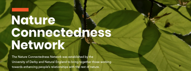 branded lock up - shows large leaves, there is white text in the foreground which reads "Nature Connectedness Network"