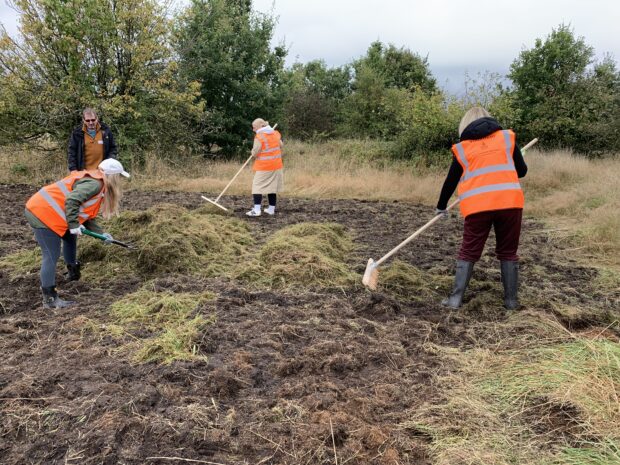 image shows people dressed in orange high-vis jackets, working on the land, they are volunteers from HomeServe, a multinational company based in Walsall, which help Walsall Council staff spread green hay rich in Tormentil to help the Tormentil Mining Bee at Pelsall North Common.  