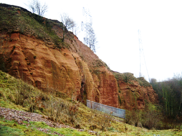 image shows Barr Beacon Quarry, a Black Country UNESCO Global Geopark site and Triassic sandstone exposure. 