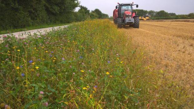 A tractor and combine harvester in a field with a wildflower border buffer strip and established wooded hedgerows