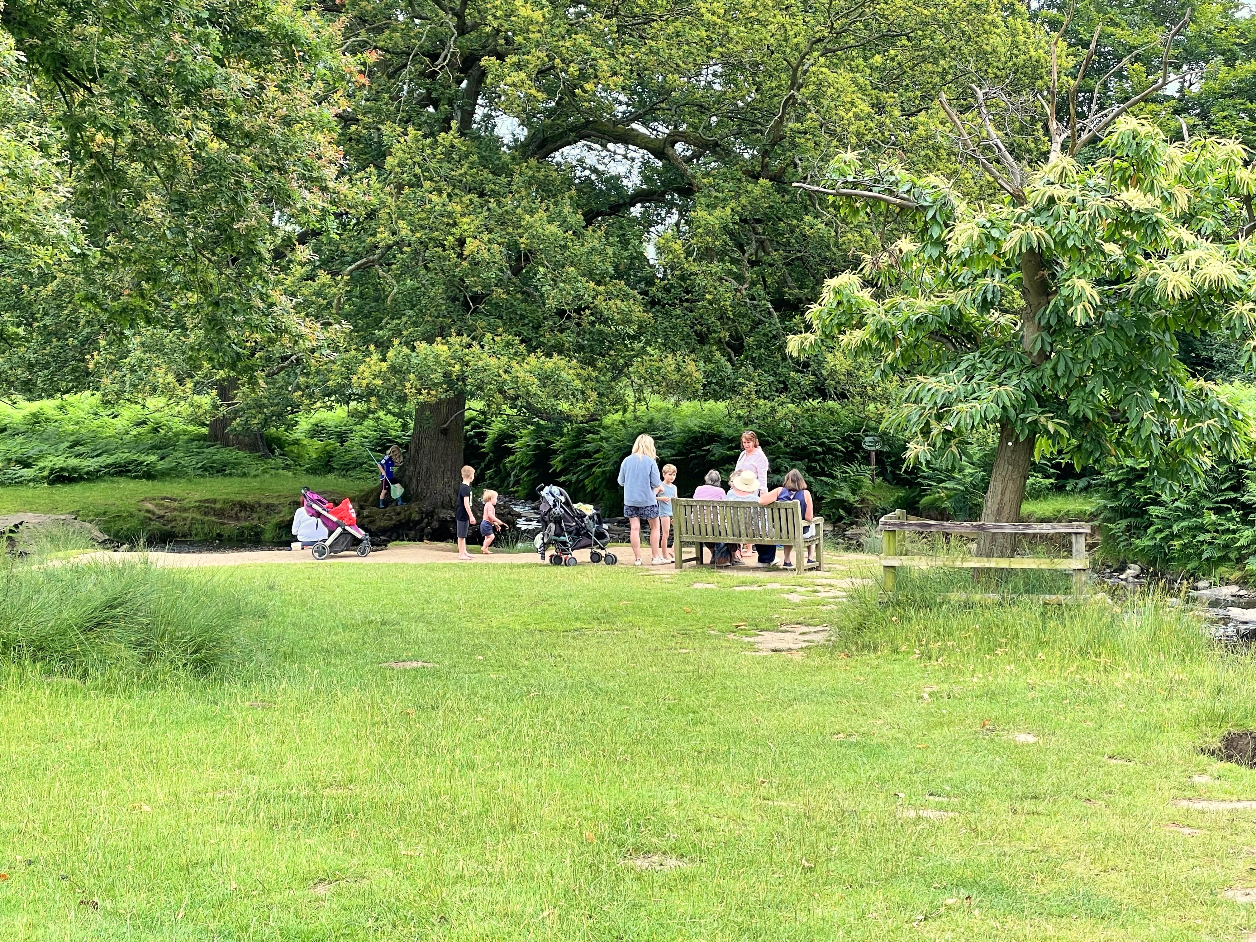 Families enjoying a moment by the stream in Bradgate Park and Swithland Wood National Nature Reserve