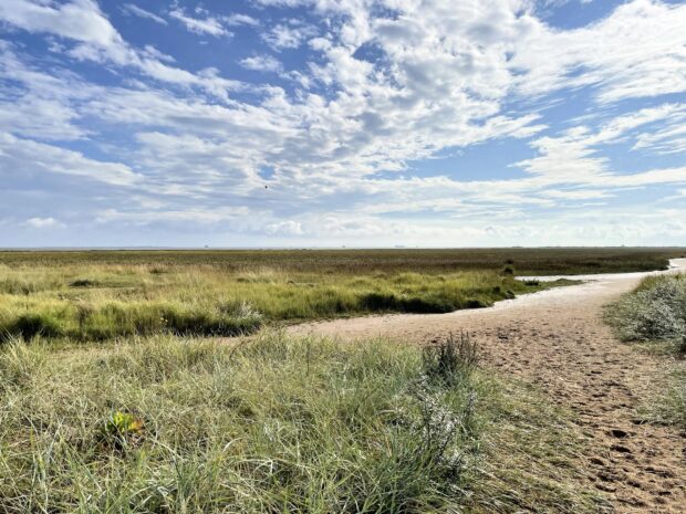 Lincolnshire Coronation Coast National Nature Reserve