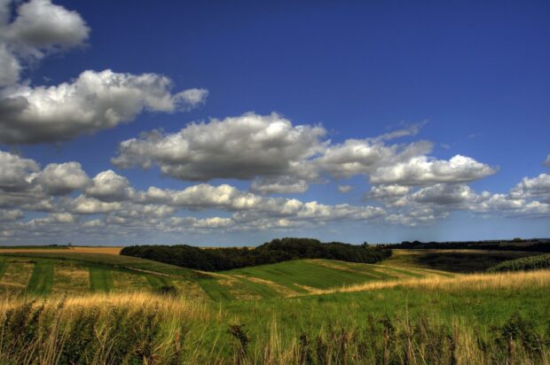 Lincolnshire Wolds. Landscape near Asgarby, Lincolnshire Wolds National Landscape. Photograph: Neil Pike