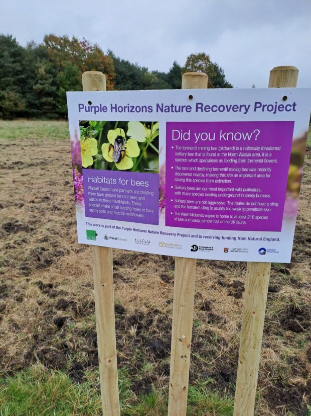 image shows signs that explain the project  to help people visiting the local park understand the value of the changes in vegetation management for pollinators. 