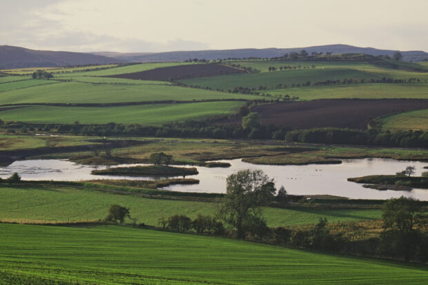 A landscape with wetland in the valley bottom, and farmed fields with hedges and trees