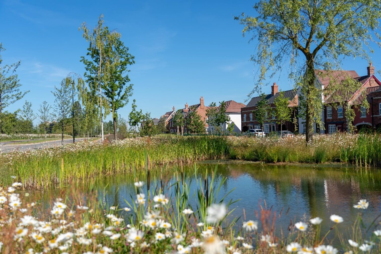 Environmental Improvement Plan Natural England