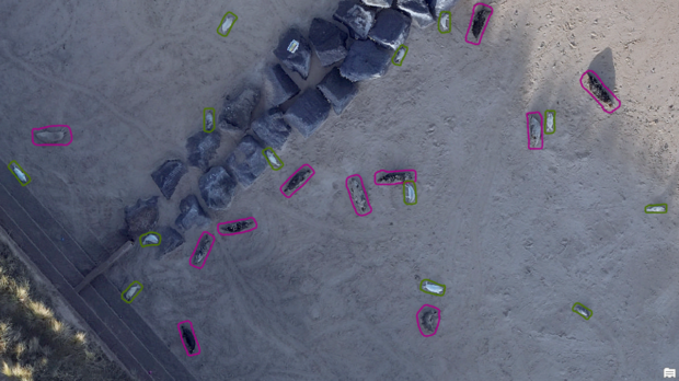 Drone footage which has been analysed using our AI tool. The tool can distinguish between adults (purple outlines) and white-coat pups (green outlines). © Natural England. 