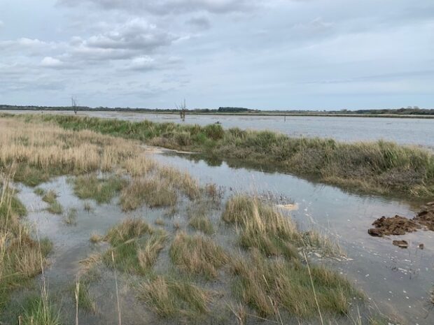 A section of the Deben Estuary in Suffolk, where farmer Patrick is using nature-based solutions to benefit his farm and creates intertidal habitats for wildlife