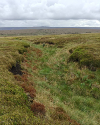 Top: Image of haggs and gullies in the mapped outputs. Bottom: Image of the corresponding features in the field.