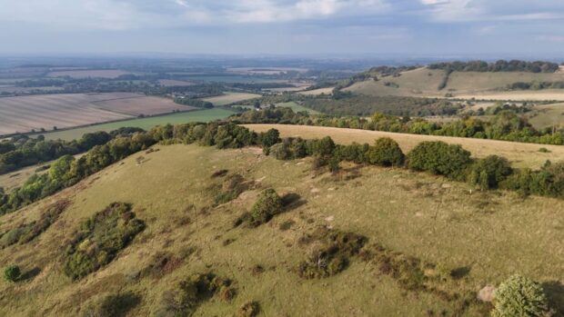 Aston Rowant NNR - Film still. © Nicola Schafer.