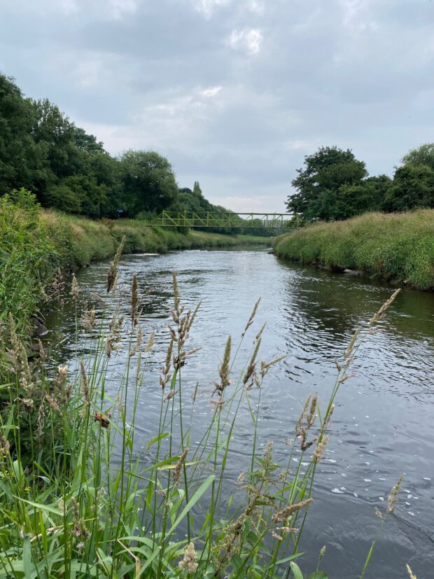 Simons Bridge in Didsbury is part of a vital wildlife corridor. © D Barlow, Manchester City Council