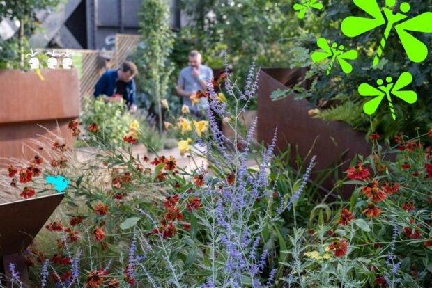 In the foreground, a range of purple and red flowers in a planter. In the background, blurred, two men tend to other flower beds in front of the wall of an industrial looking building.