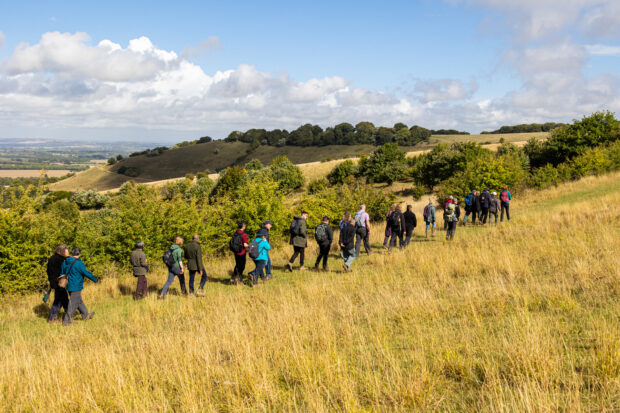 A group of about 20 walkers on a sunny day, walking in a line through a field with the view of hills and blue sky in the background.