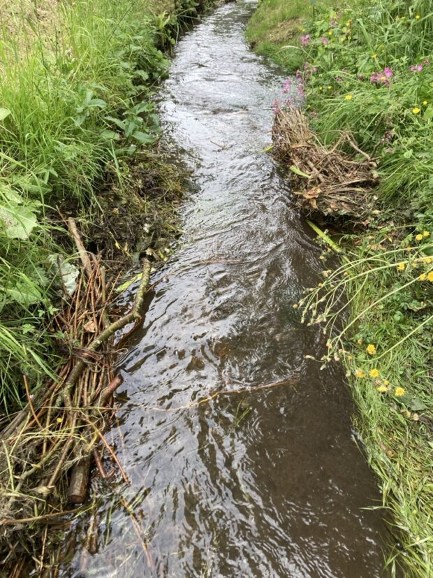 Brash bundles (bundles of sticks and twigs) at each side of a narrow stream.