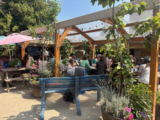 Image of Electric Daisy, an outdoor events space with a covered canopy and lots of plants around the seating.