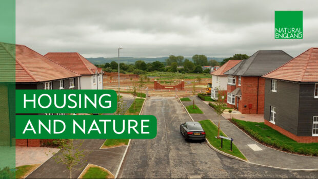 A scene pf a housing estate development of detached houses