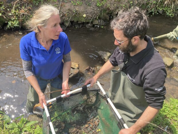 Two people stand in a shallow river holding a pritchard trap (square net) full of crayfish.
